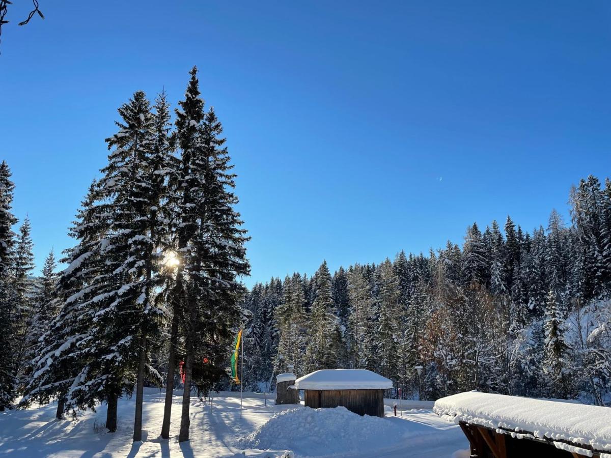 W3 Haus Ganghofer Daire Leutasch Dış mekan fotoğraf